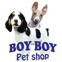 BOY BOY PET SHOP BOY BOY PET SHOP